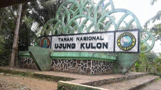 3 Tempat Wisata Paling Menarik untuk Liburan di Taman Nasional Ujung Kulon