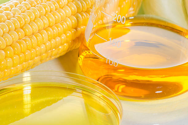 Corn oil is prepared from its seeds. This oil has been proven to be very beneficial for health. It reduces cholesterol levels. It is a little more expensive than other oils. It is good for the heart.