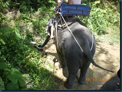 Phuket (22)