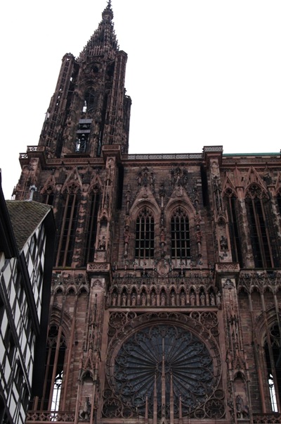 IMGP5960