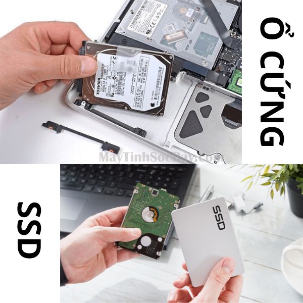 Ổ Cứng SSD Tiện Lợi Chính Hãng