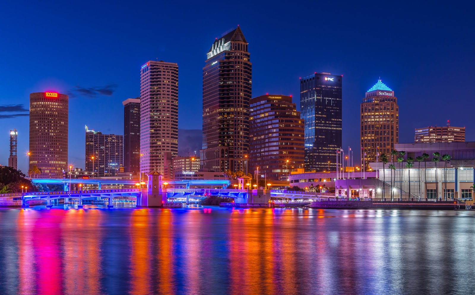 Lynn Wiezycki Photography Downtown  Tampa  Skyline