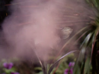 Alien flower surrounded by a cloud of smoke