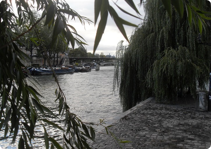 Udsigt fra Ille de Cite mod Pont des Arts - nu uden lovelocks