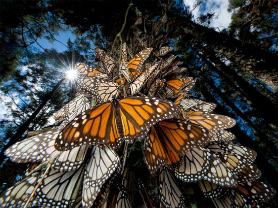 bruno rezende, coluna zero, fotografia, photo, foto, Photo fo the Day, natgeo, national geographic