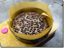 blackcurrants2