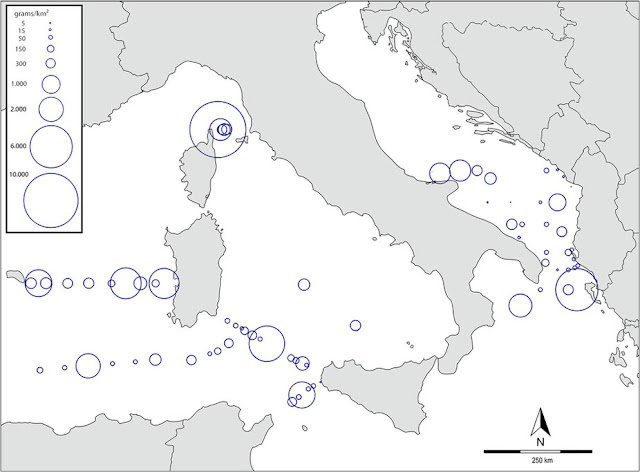 Mappa della distribuzione delle microplastiche