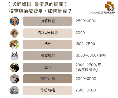 犬貓齒科費用表