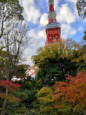 東京タワー 紅葉