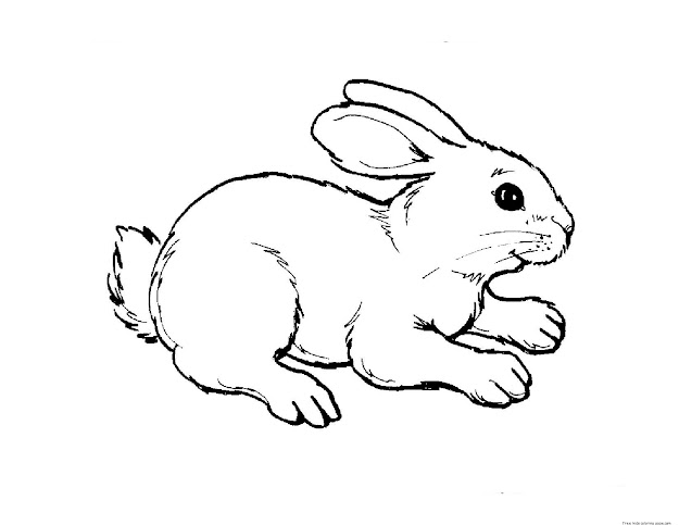 Rabbit On Table Coloring Page From Rabbits Category Select From   Printable Crafts Of Cartoons Nature Animals Bible And Many More