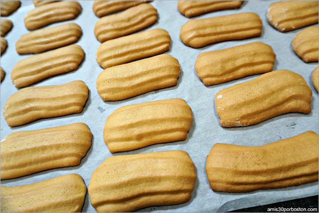 Galletas Artesanas Realizadas en Huéneja, Granada