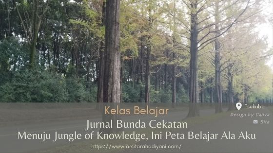 Jurnal Bunda Cekatan. Menuju Jungle of Knowledge, Ini Peta Belajar Ala Aku