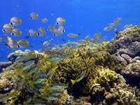 Pelabuhan Padang Bai Bali, Pemandangan Pantai Eksotis