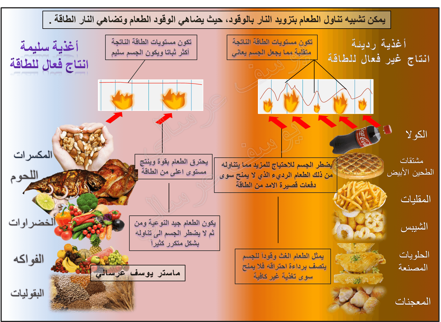 أضرار تناول الأغذية الميتة