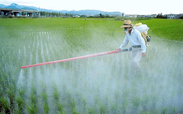 Insektisida Racun Khusus Serangga - Jenis Pestisida (1)