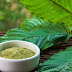 How Does Kratom Benefits Your Health?