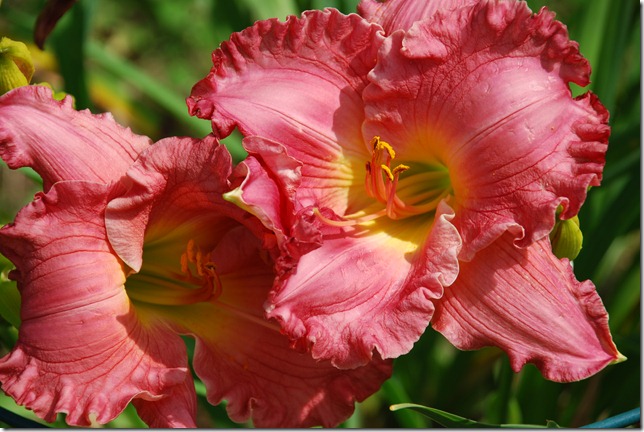 037