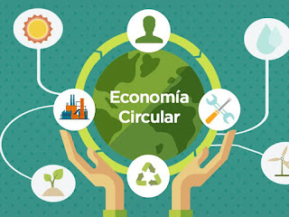 Descubriendo la Economía Circular: Nuestro Camino Hacia el Futuro Sostenible