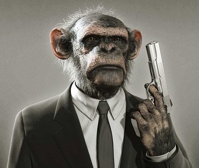 Funny Animals With Guns Shooting Wallpapers 2013