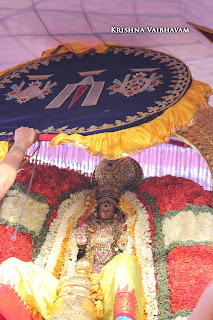 Aani,Garuda Sevai,Gopura Dharisanam ,Yesal Purappadu , Vahanam,Sri Theliya Singar, Yoga Narasimhar,Brahmotsavam ,Purappadu,Video, Divya Prabhandam,Sri Parthasarathy Perumal, Triplicane,Thiruvallikeni,Utsavam,