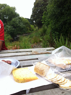 A pile of cheese and crackers on a picnic table.