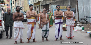 Kodai UTsavam,Thiruvallikeni, Sri PArthasarathy Perumal, Temple, 2017, Video, Divya Prabhandam,Utsavam,