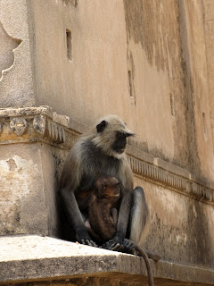 India - Orchha