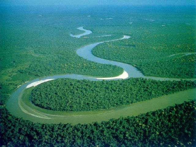 Amazon River