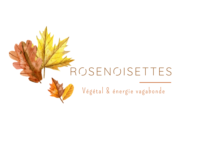 Rosenoisettes