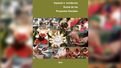 Impacto e Incidencia Social de los proyectos sociales - Castulina Niño-Martínez Castro [PDF] 