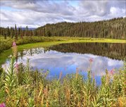 Owen Lake