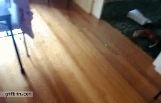 Lazer + cat + carpet + sliding floor = idea