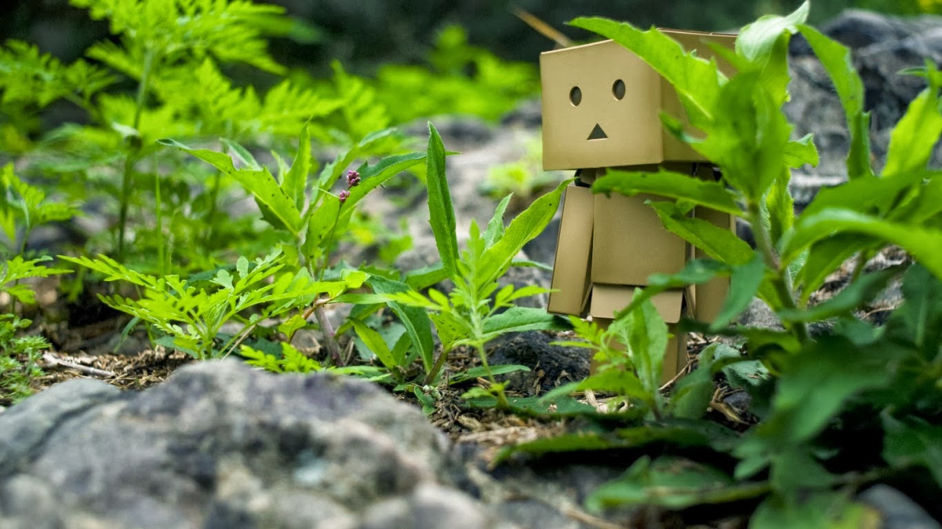 Hình nền DANBO dễ thương full HD