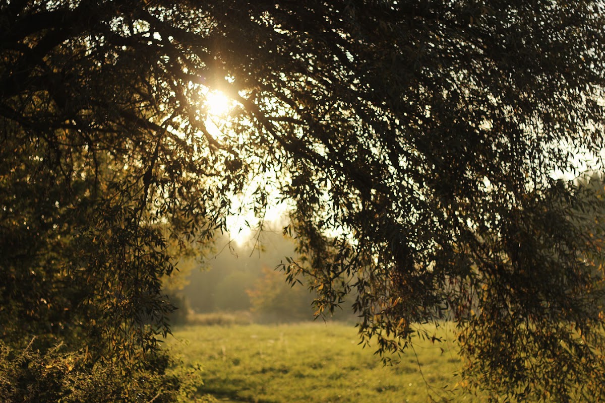 autumn in chelmsford essex