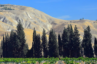 irrigation agriculture near galilee israel