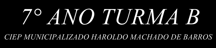 7° ANO TURMA B