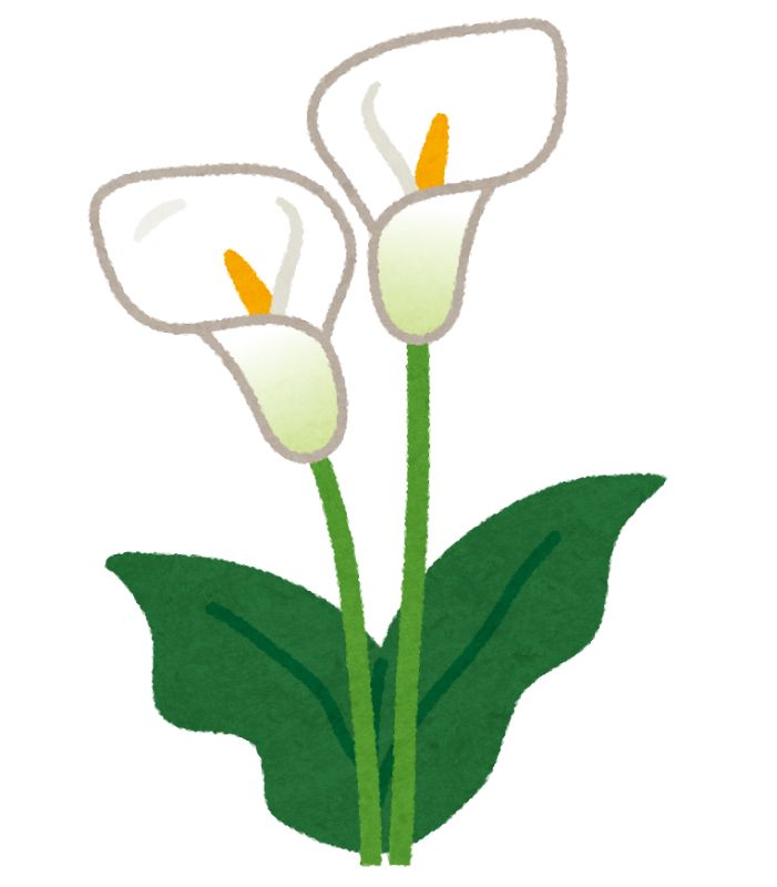 カラーのイラスト 花 かわいいフリー素材集 いらすとや カラーのイラスト 花 かわいいフリー素材集 いらすとや