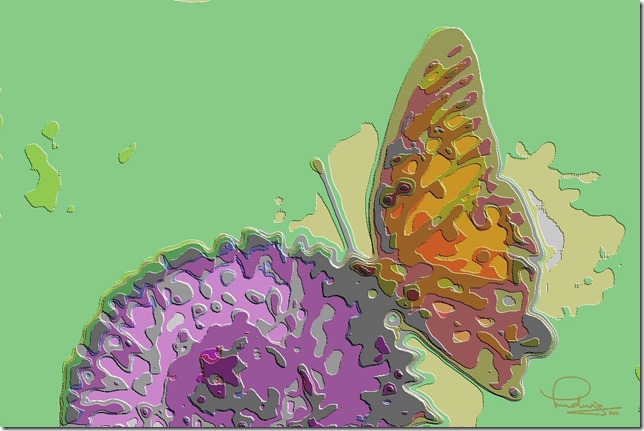 Butterfly