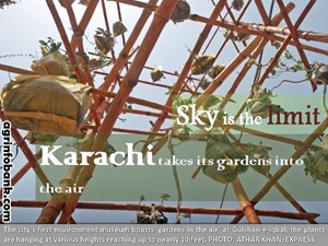Sky is the limit: Karachi takes its gardens into the air
