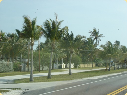 Fort Myer, FL 041