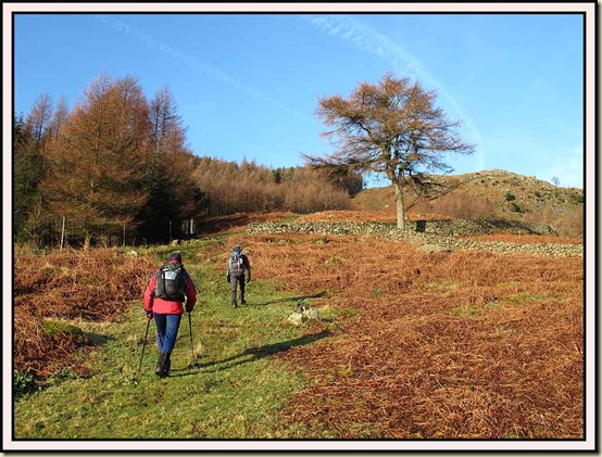 The steep ascent to Brown Rigg
