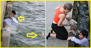 What would YOU do if you saw a dog struggling in the water?