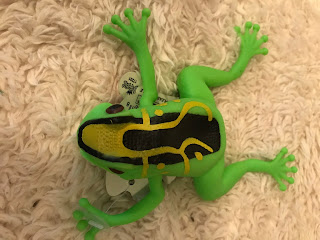 Stretchy Squishy Frog