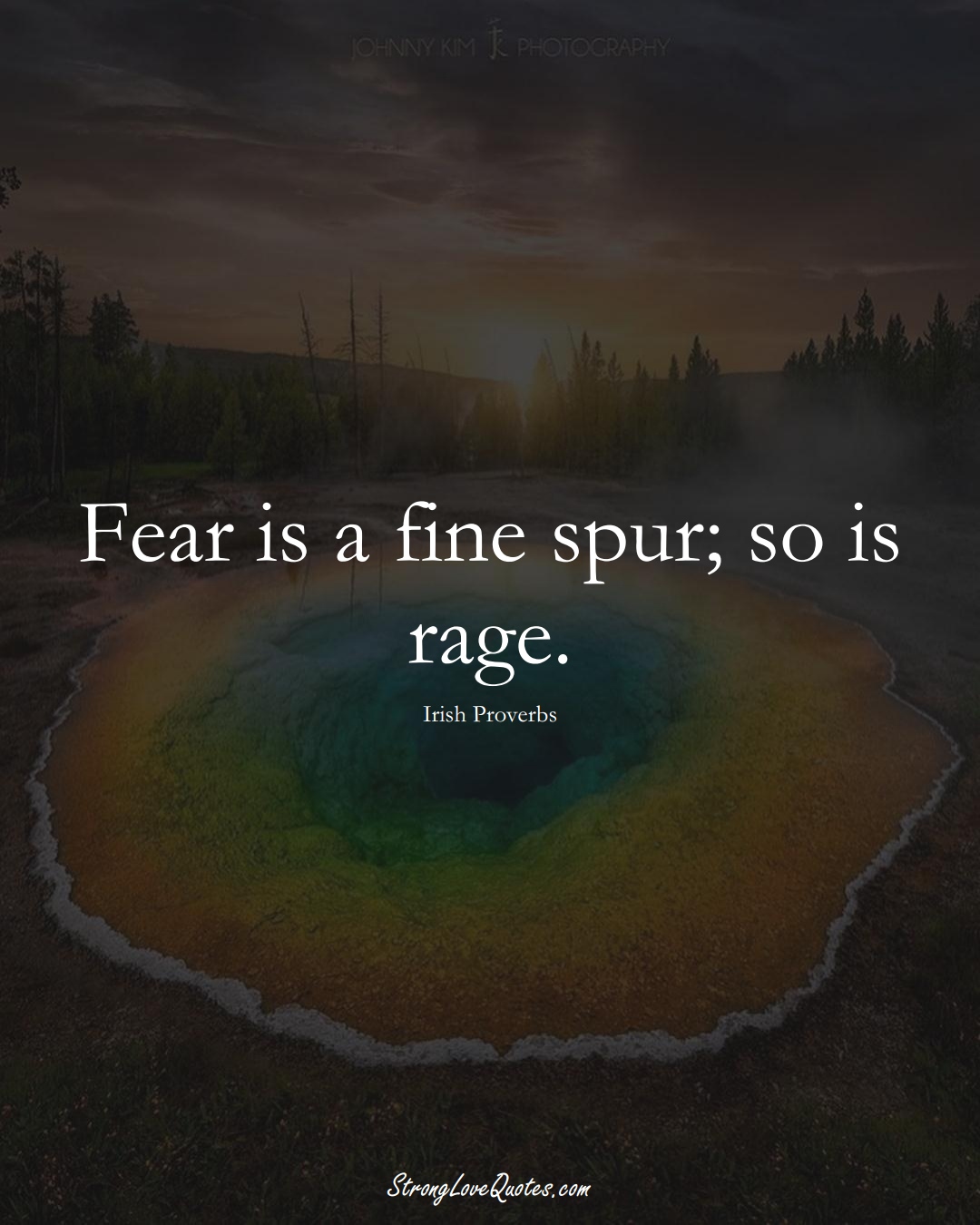 Fear is a fine spur; so is rage. (Irish Sayings);  #EuropeanSayings