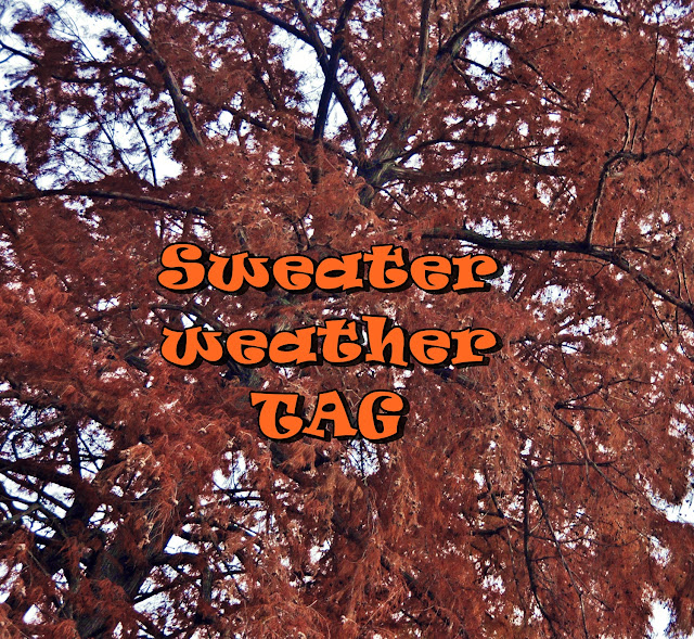 sweater weather tag