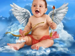 funny picture wallpapers