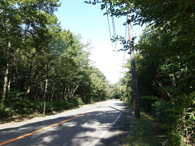 鳥取県道158号大山口停車場大山線