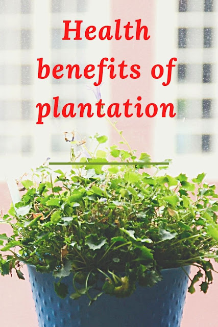 health-benefits-of-plants