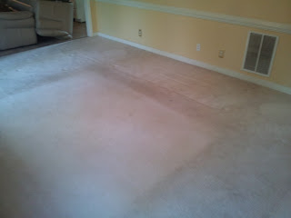area where rug was is still the original color