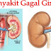 Anda Terserang Ginjal? Atasi Menggunkan Daun Insulin, Baca Resepnya!